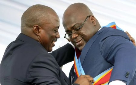 Ramaphosa, Mnangagwa Want Kabila-Tshisekedi Peace Talks