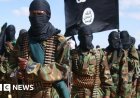 Somali and Ugandan forces launch major offensive against al-Shabaab