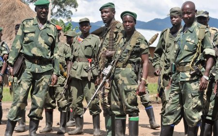 Congo Orders FDLR Rebels to Surrender