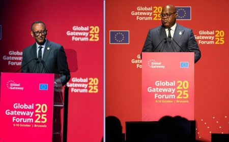 Tshisekedi explains why he raised war issues at economic forum