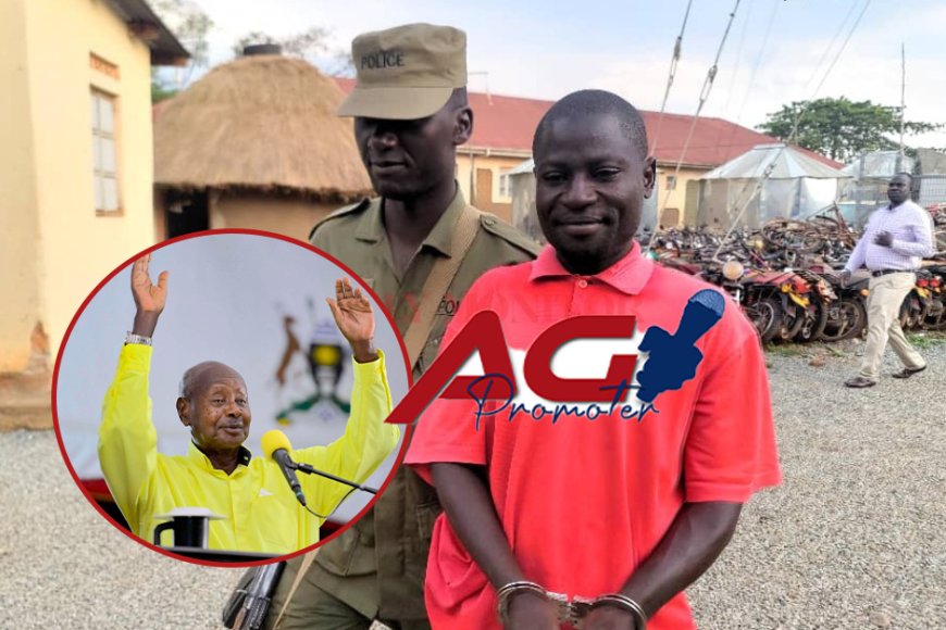 Resident  tears down Museveni posters over shocking reason