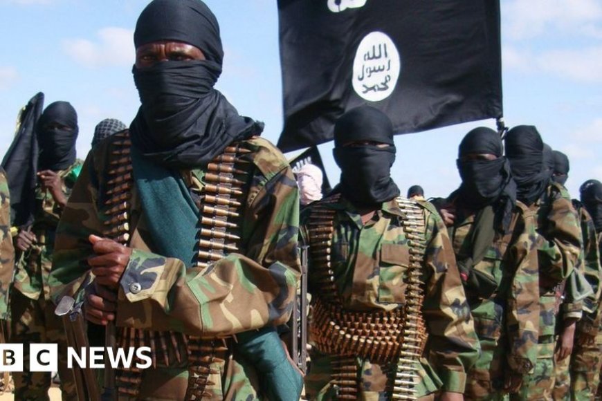 Somali and Ugandan forces launch major offensive against al-Shabaab