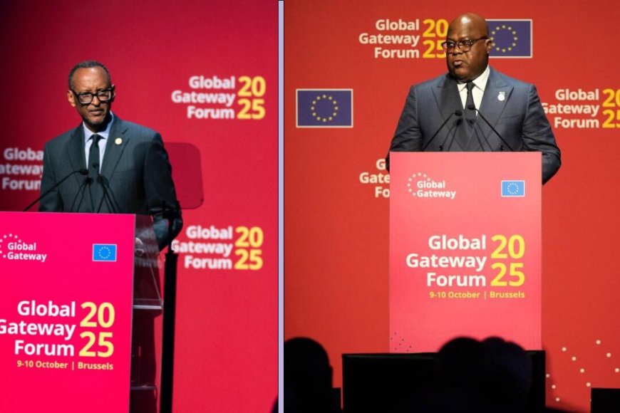 Tshisekedi explains why he raised war issues at economic forum