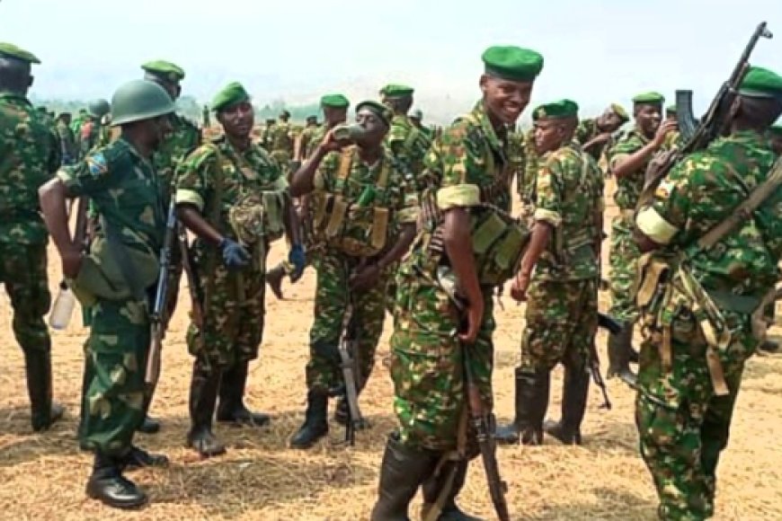 Burundi troops forced to walk across country after demanding unpaid wages