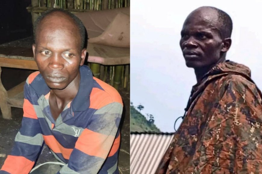 M23 captures top FDLR fighter