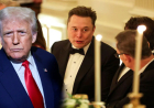 Elon Musk praises President Trump