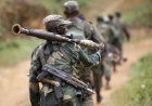 ADF  kills 89 civilians in one week, MONUSCO reports
