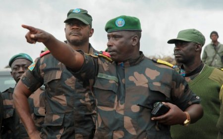 DR Congo launches campaign urging FDLR rebels to lay down arms
