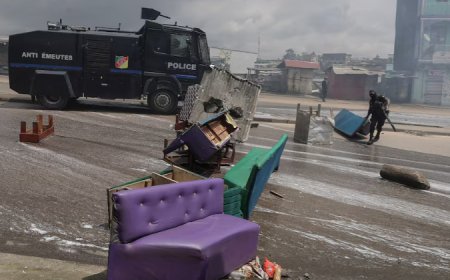 Cameroon government kills 48 civilians in election protests: UN Report