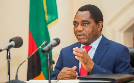 Zambian president hichilema attacked with stones during visit