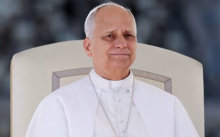 Pope Leo XIV meets Belgian abuse survivors