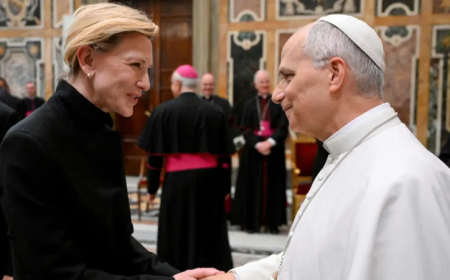 Pope Leo XIV hosts Hollywood stars at the Vatican