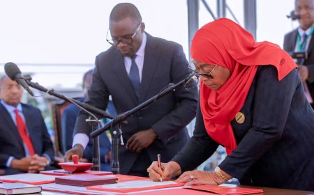 Tanzania warns its global image may hinder funding