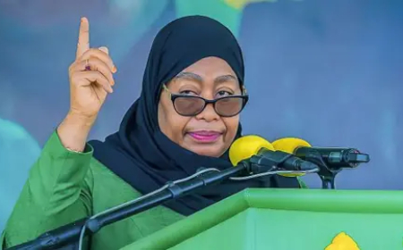 Tanzania: President blames paid Groups for post-election protests