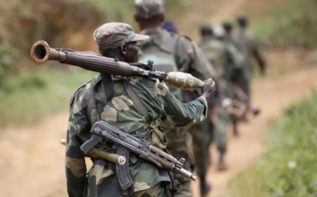 ADF  kills 89 civilians in one week, MONUSCO reports