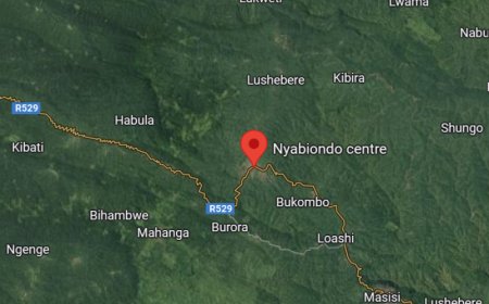 North Kivu: M23 and Wazalendo clash near Nyabiondo