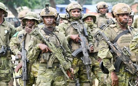 DRC parliament backs mandatory youth military service