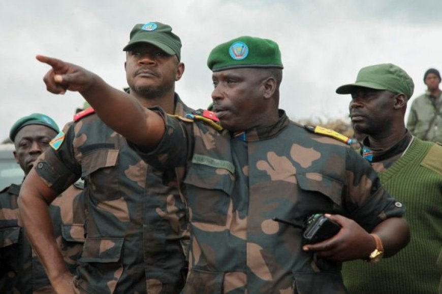 DR Congo launches campaign urging FDLR rebels to lay down arms