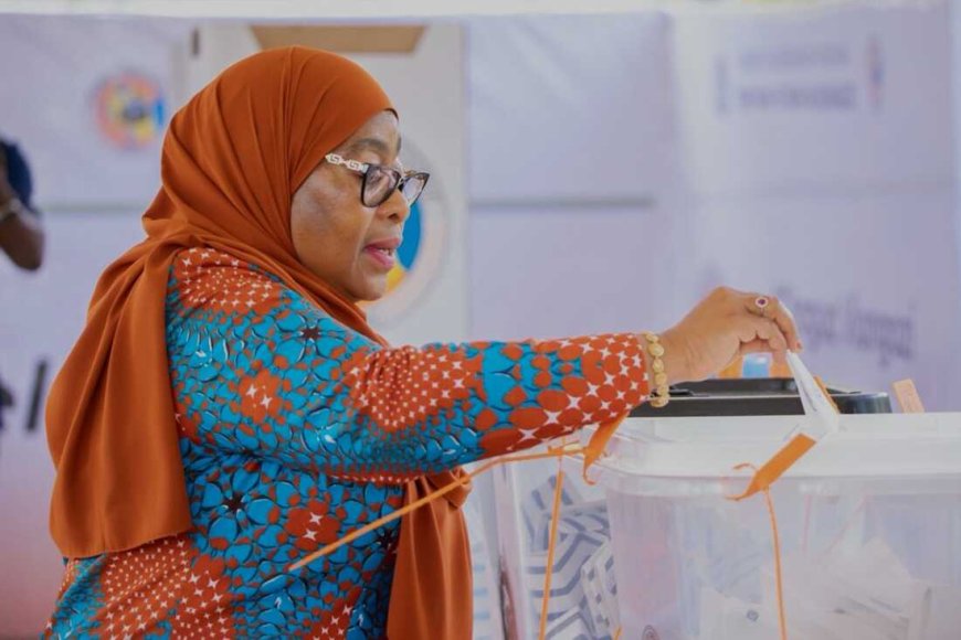 SADC declares Tanzania elections undemocratic