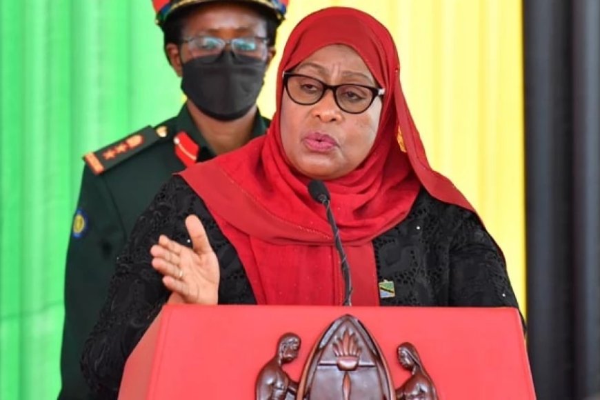 Tanzania government calls for dialogue after deadly post-election violence