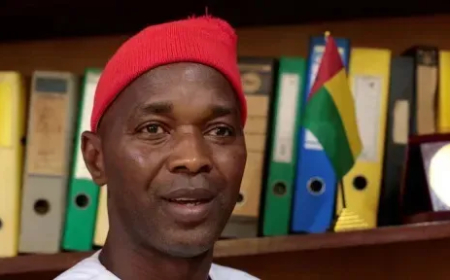 Nigeria grants asylum to Guinea-Bissau politician