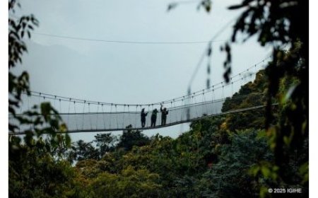 Tour Company Plans Unique Trip Bringing Celebrities and Fans Together in Nyungwe National Park