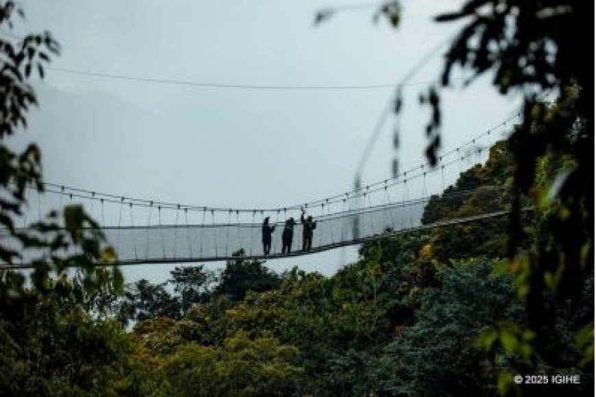 Tour Company Plans Unique Trip Bringing Celebrities and Fans Together in Nyungwe National Park