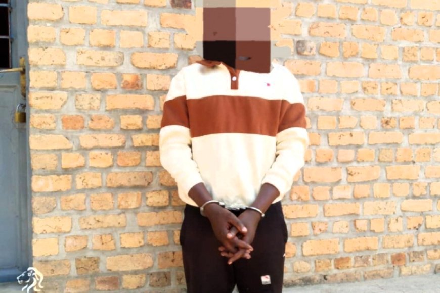 RIB arrests school staff over child Sex abuse